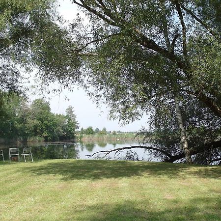 Ferienwohnungen Im Kunst.Haus Am See Doberlug-Kirchhain Exterior foto