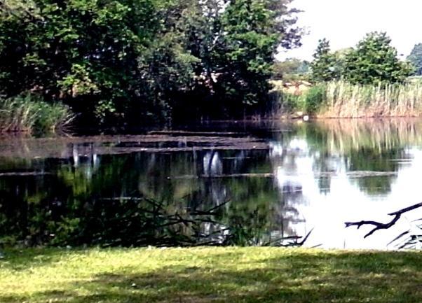 Ferienwohnungen Im Kunst.Haus Am See Doberlug-Kirchhain Exterior foto